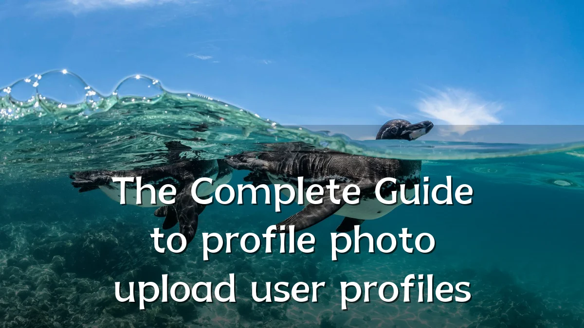 The Complete Guide to profile photo upload user profiles