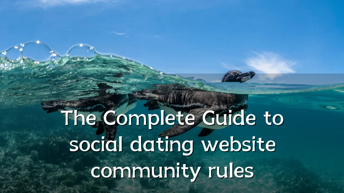 The Complete Guide to social dating website community rules