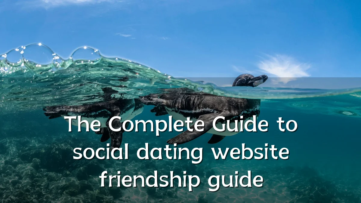 The Complete Guide to social dating website friendship guide