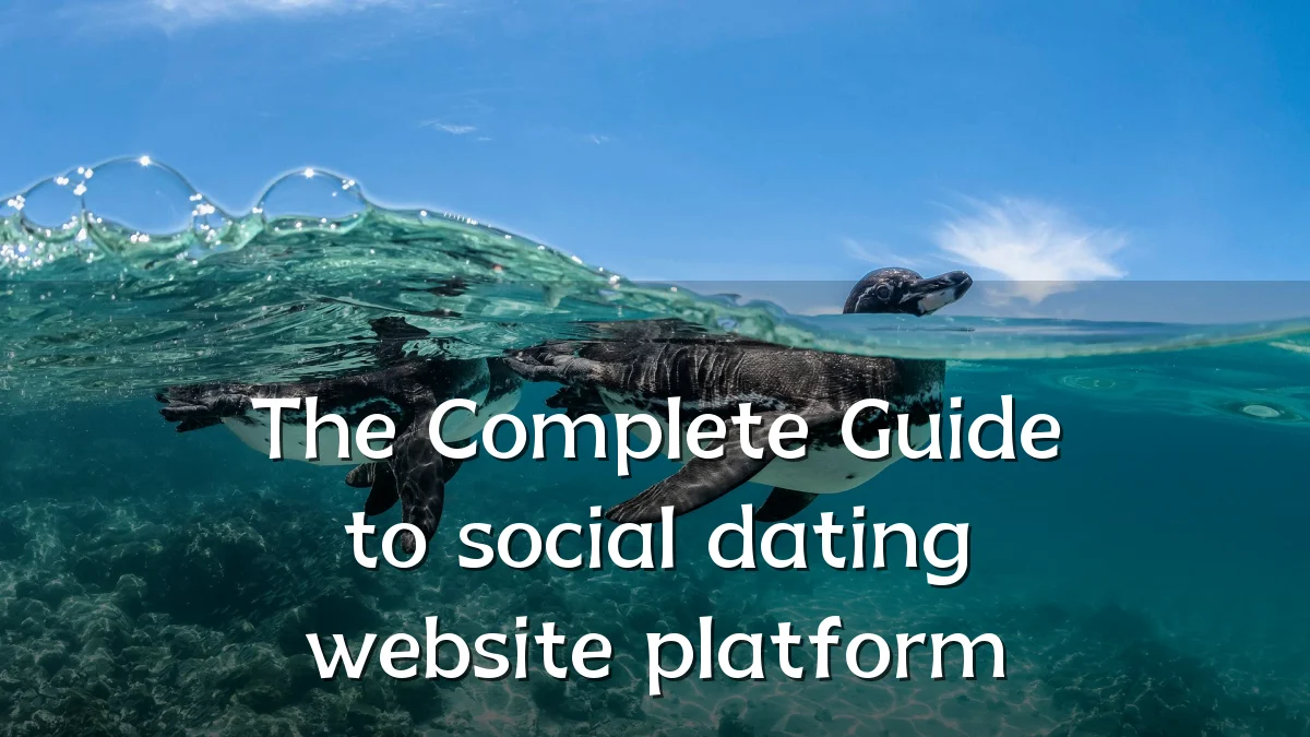 The Complete Guide to social dating website platform
