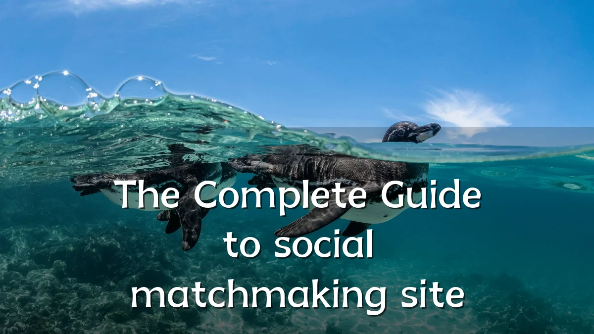 The Complete Guide to social matchmaking site