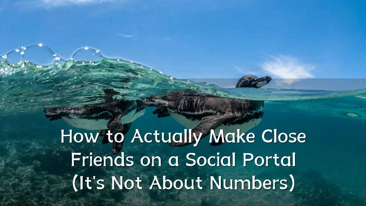 How to Actually Make Close Friends on a Social Portal (It's Not About Numbers)