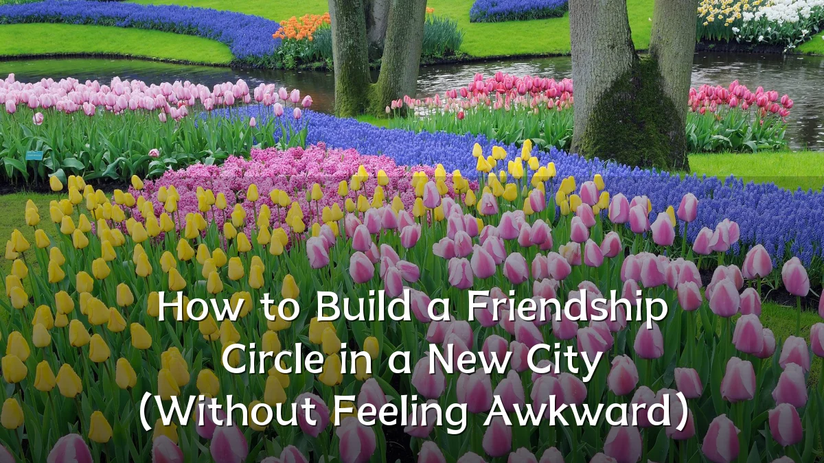 How to Build a Friendship Circle in a New City (Without Feeling Awkward)