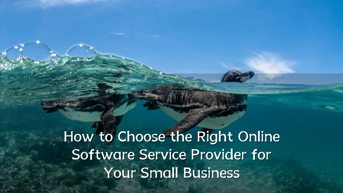 How to Choose the Right Online Software Service Provider for Your Small Business