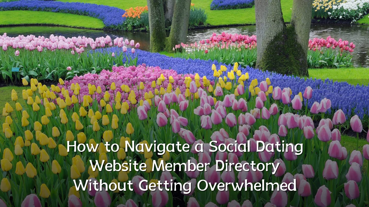 How to Navigate a Social Dating Website Member Directory Without Getting Overwhelmed