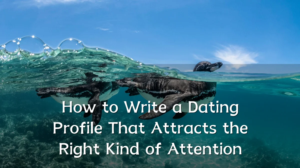 How to Write a Dating Profile That Attracts the Right Kind of Attention