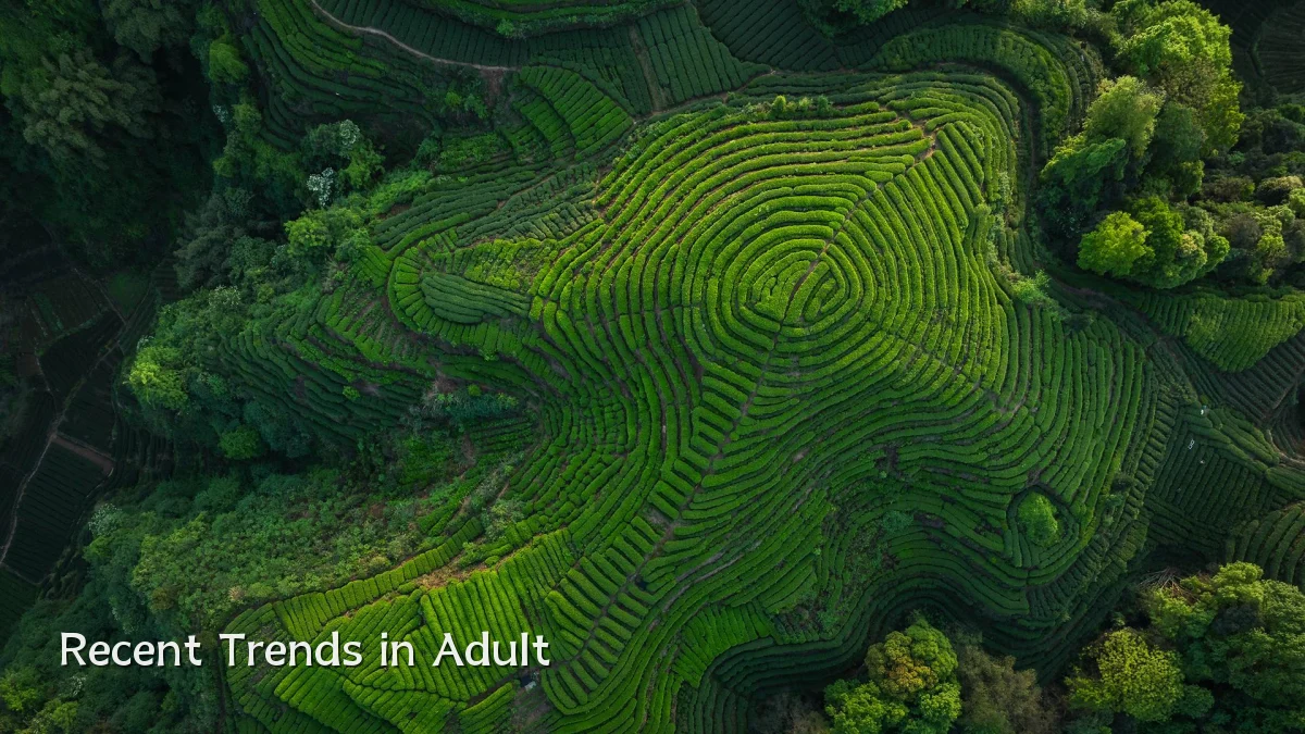 Recent Trends in Adult