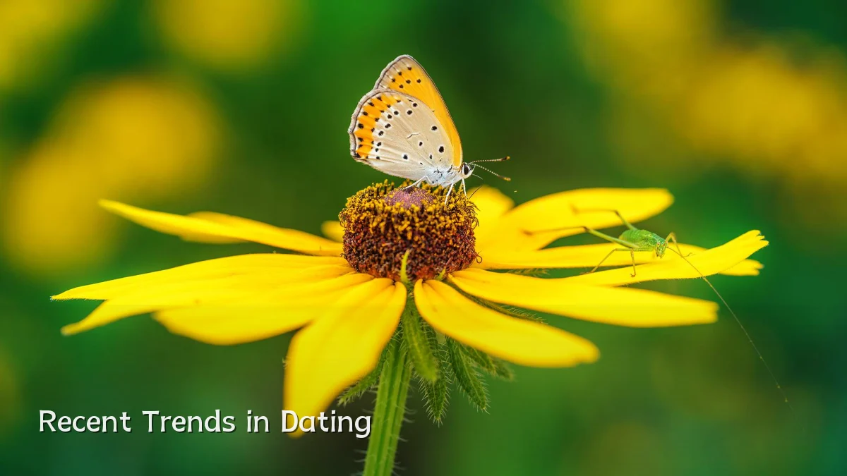 Recent Trends in Dating