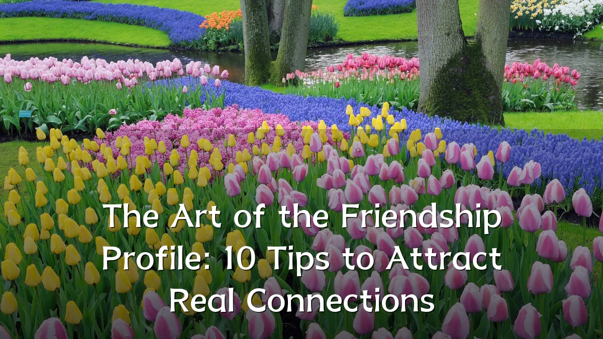 The Art of the Friendship Profile: 10 Tips to Attract Real Connections