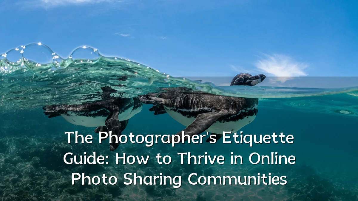 The Photographer's Etiquette Guide: How to Thrive in Online Photo Sharing Communities