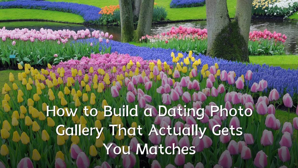 How to Build a Dating Photo Gallery That Actually Gets You Matches