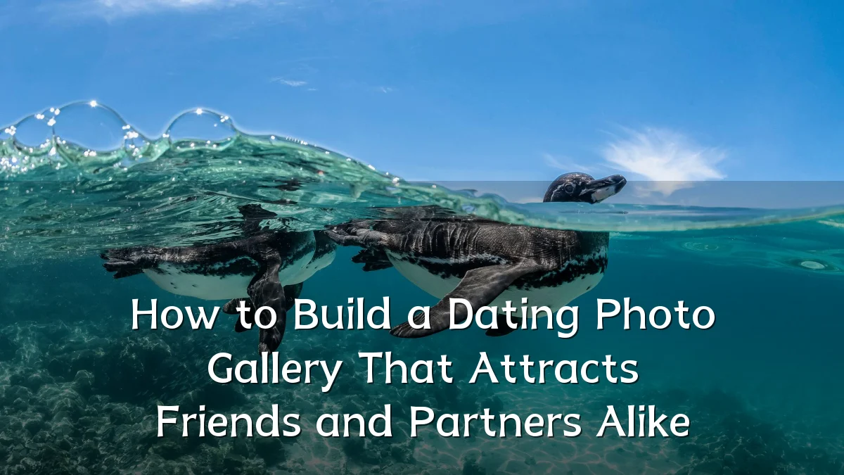 How to Build a Dating Photo Gallery That Attracts Friends and Partners Alike