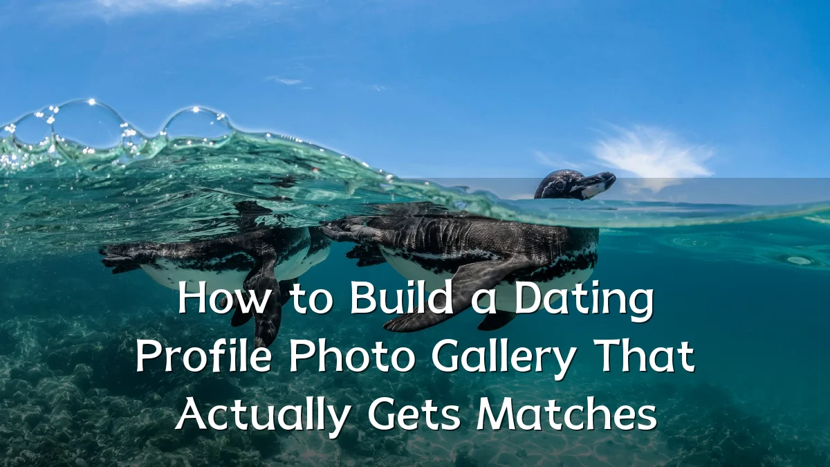 How to Build a Dating Profile Photo Gallery That Actually Gets Matches