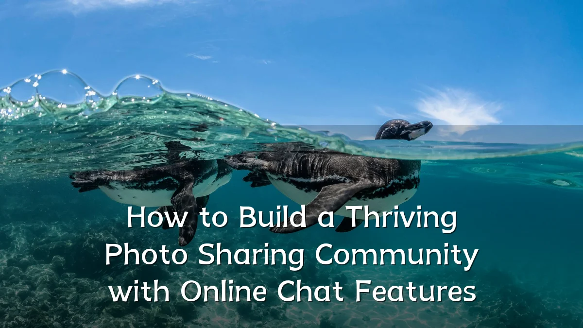 How to Build a Thriving Photo Sharing Community with Online Chat Features