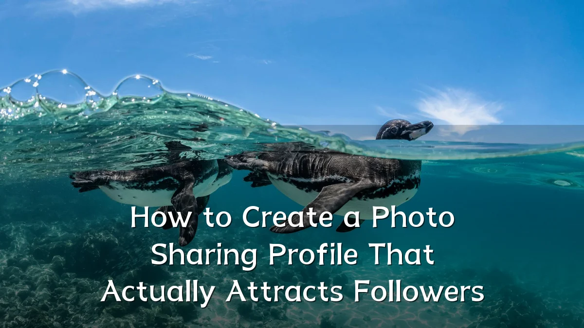 How to Create a Photo Sharing Profile That Actually Attracts Followers