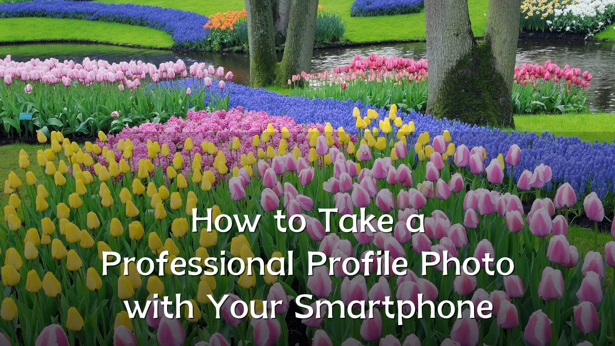 How to Take a Professional Profile Photo with Your Smartphone