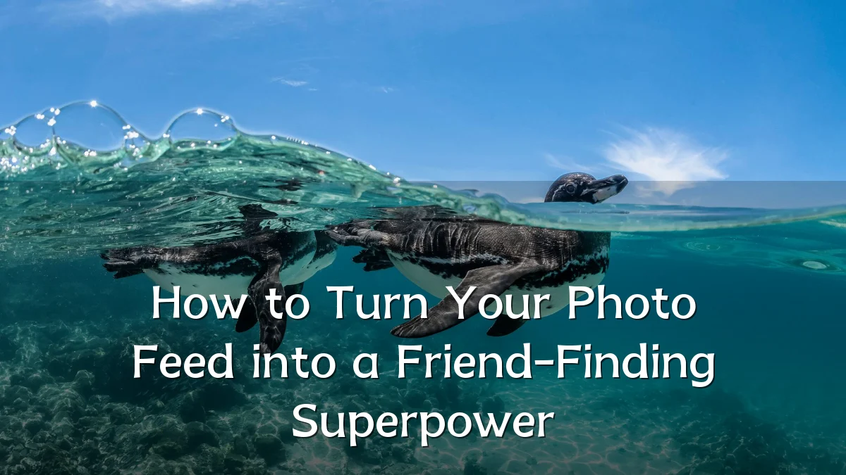 How to Turn Your Photo Feed into a Friend-Finding Superpower