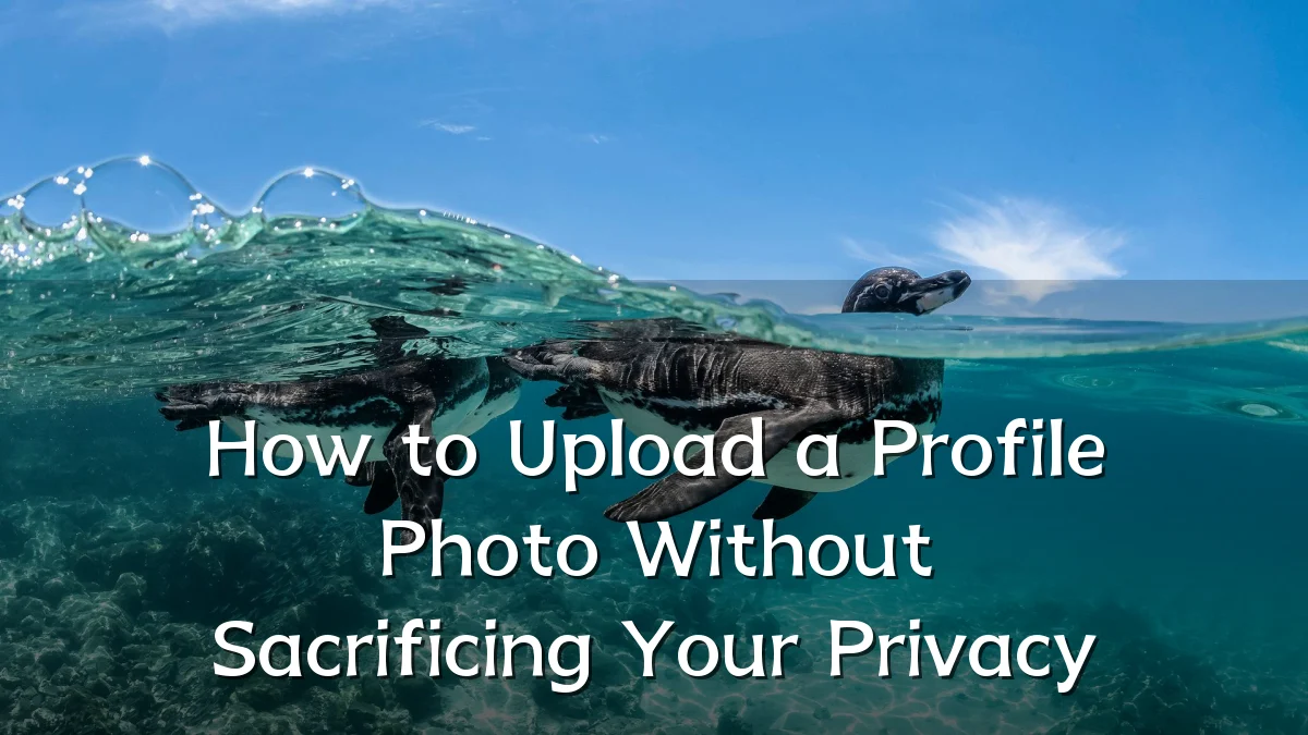How to Upload a Profile Photo Without Sacrificing Your Privacy
