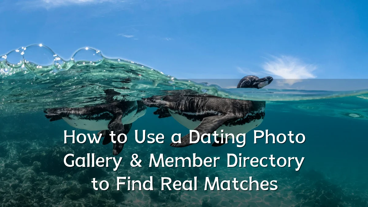 How to Use a Dating Photo Gallery & Member Directory to Find Real Matches