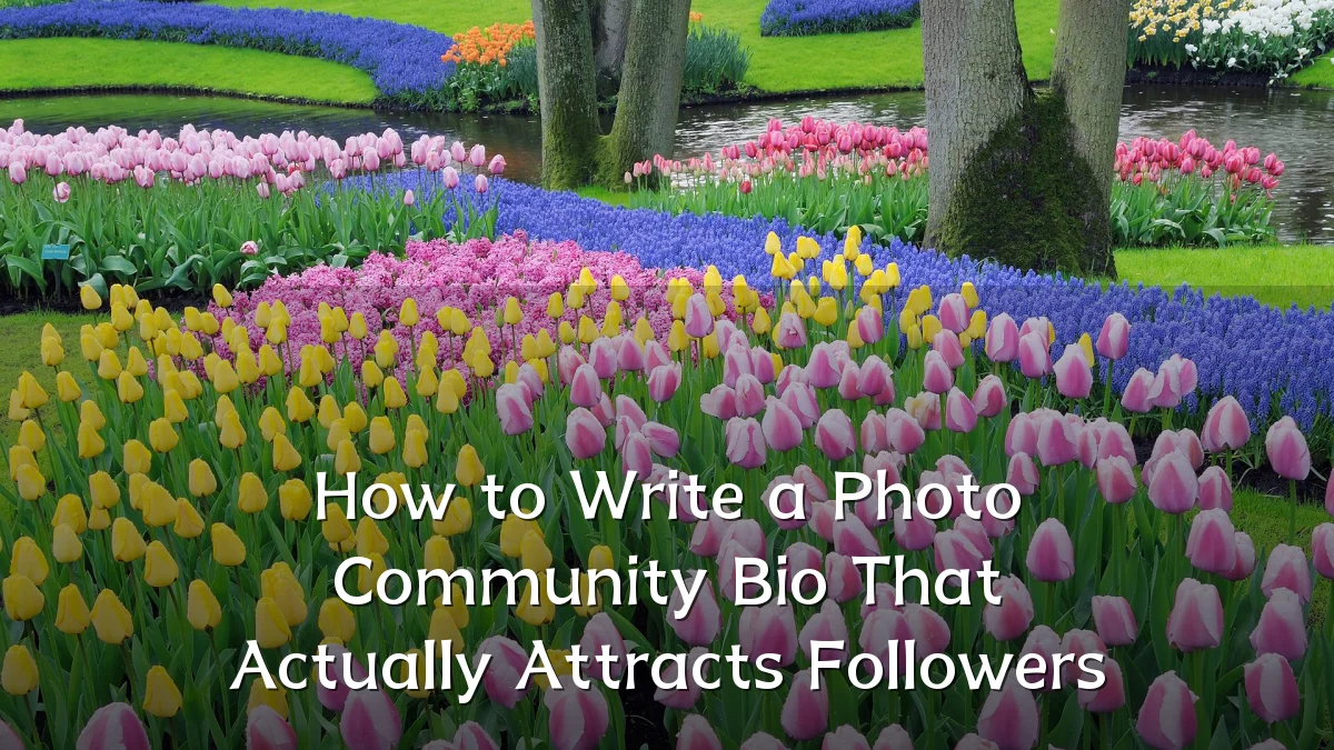 How to Write a Photo Community Bio That Actually Attracts Followers