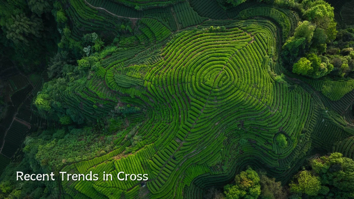 Recent Trends in Cross