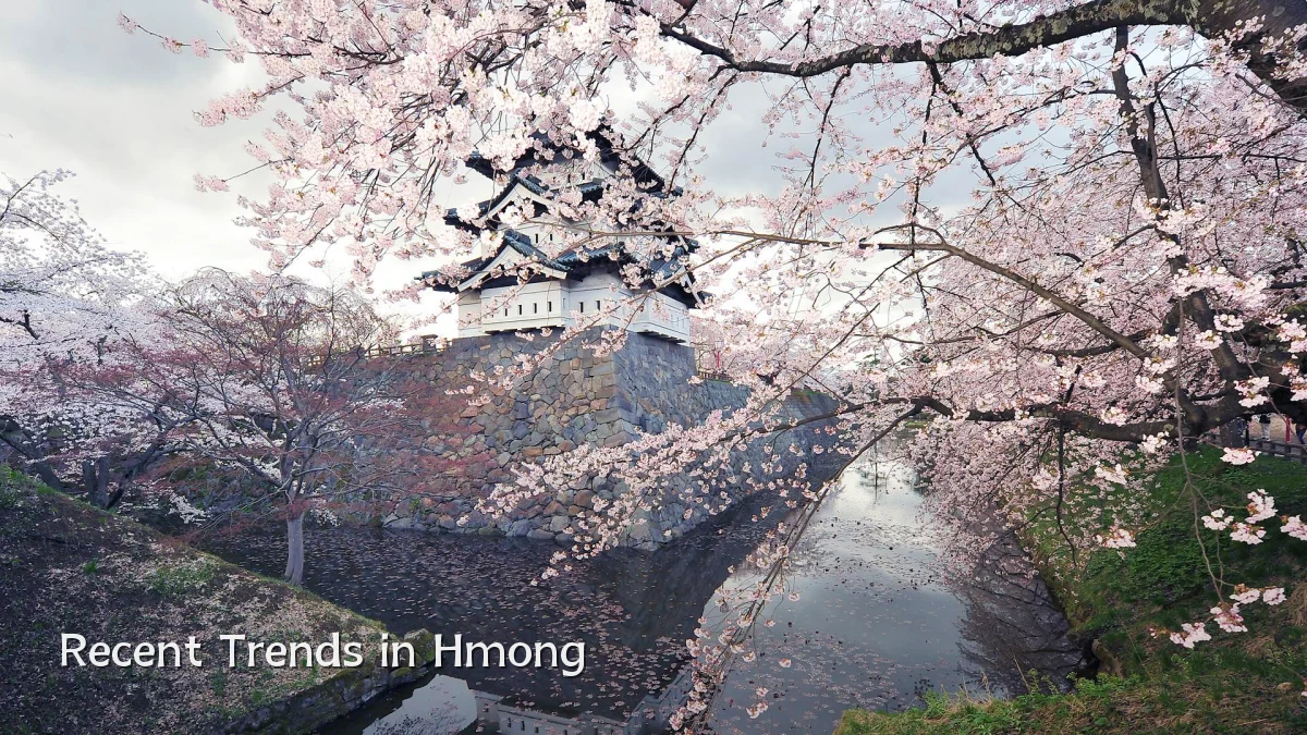 Recent Trends in Hmong