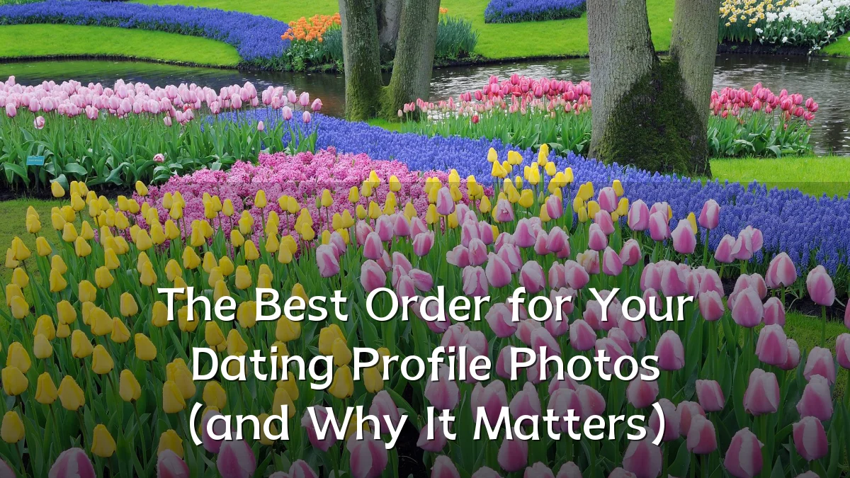 The Best Order for Your Dating Profile Photos (and Why It Matters)