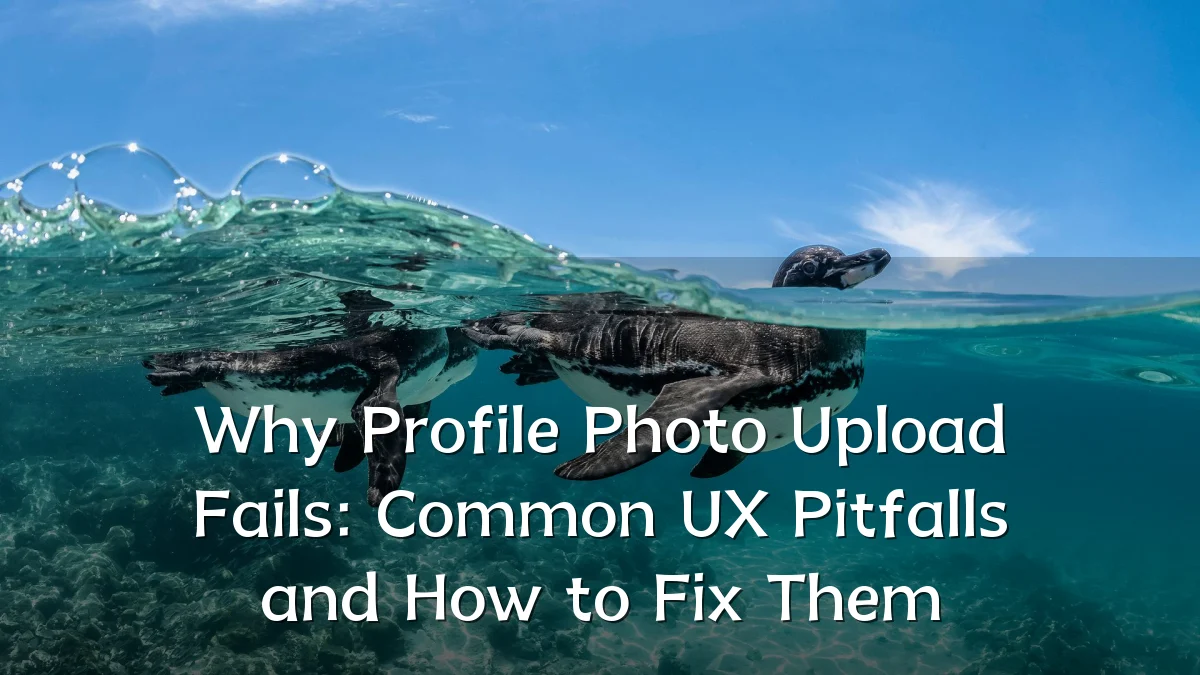 Why Profile Photo Upload Fails: Common UX Pitfalls and How to Fix Them